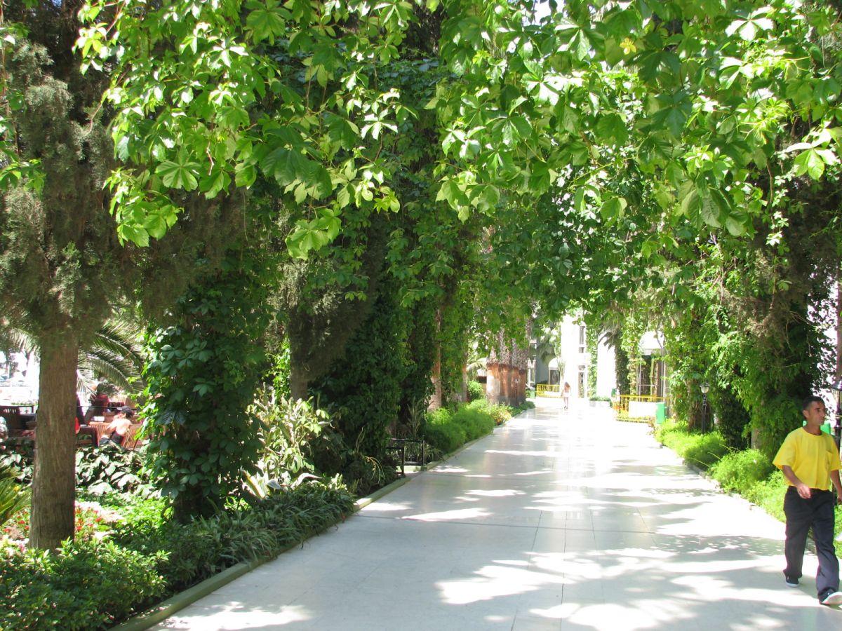 imagini hotel DELPHIN BOTANIK